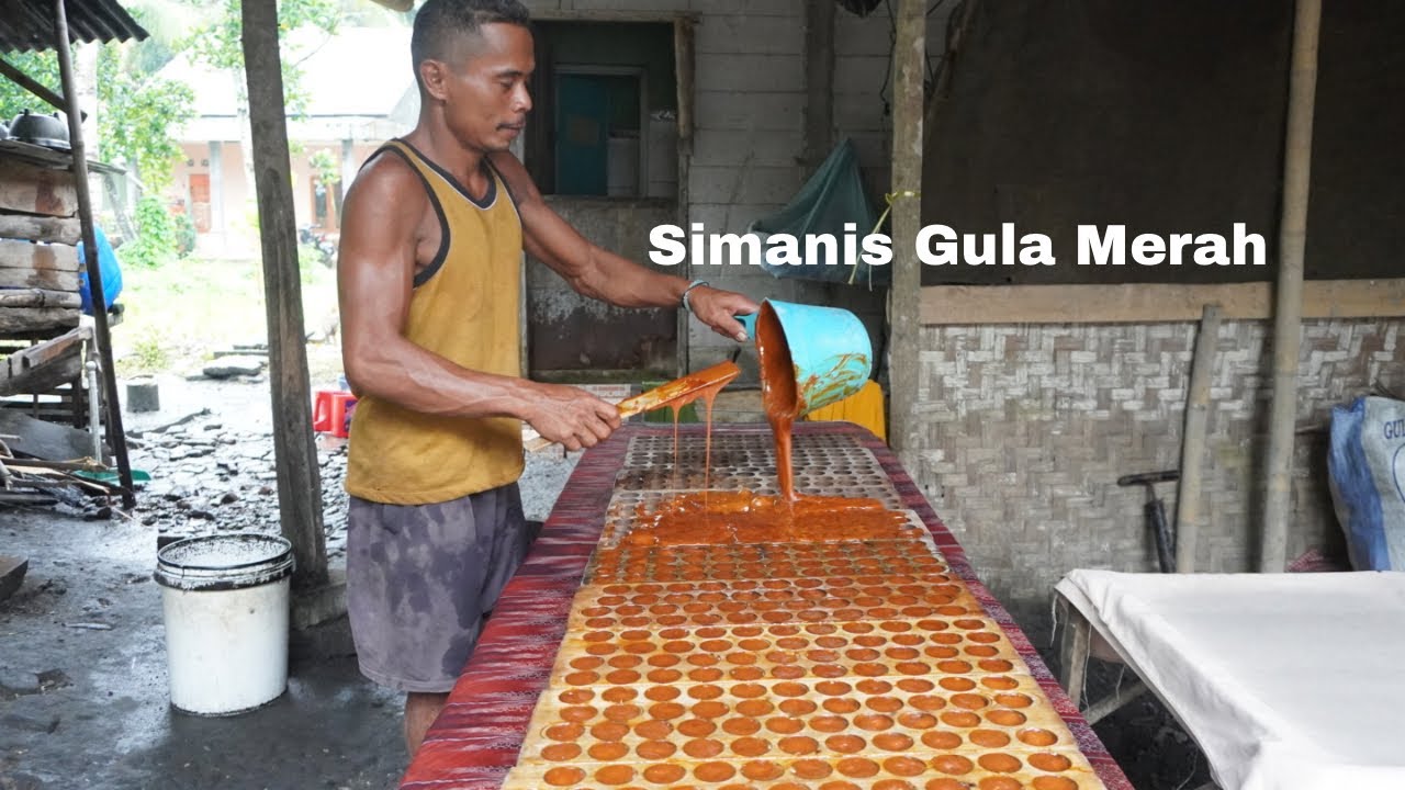 Proses Pembuatan GULA MERAH/GULA JAWA di Kampung Laut,CILACAP