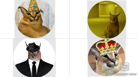 How to get all badges in raise a floppa 2