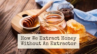 How to extract honey without an extractor ~ Our simple, inexpensive set up for harvesting honey