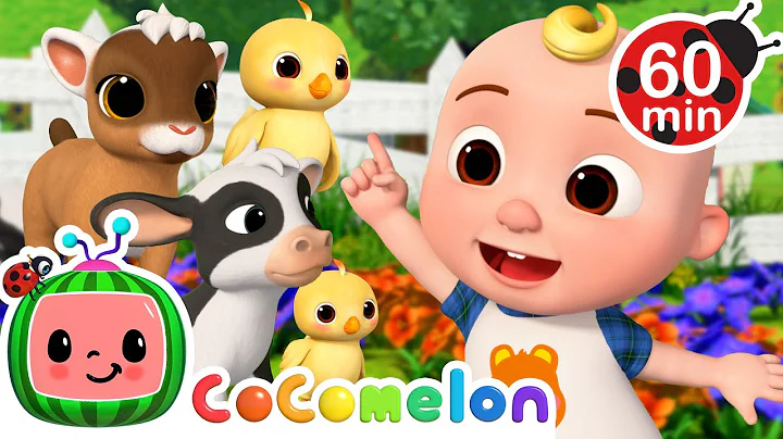 Old MacDonald with Cute Baby Farm Animals! 🐤 | CoComelon Nursery Rhymes & Kids Songs