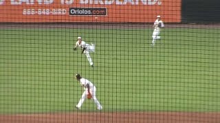 Yastrzemski Outfield Assist