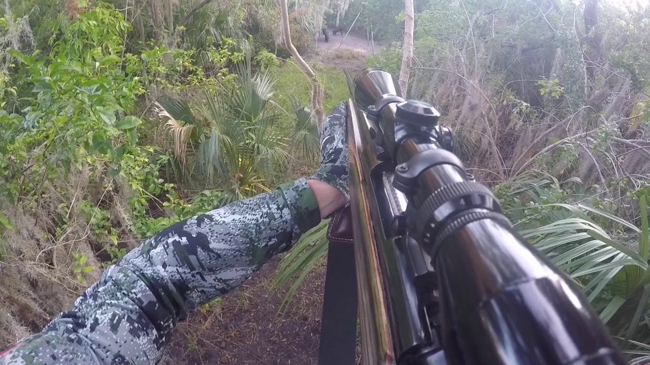 Alligator Alley Outfitters Review Florida Hog hunting Video Made By Hunter Jacob