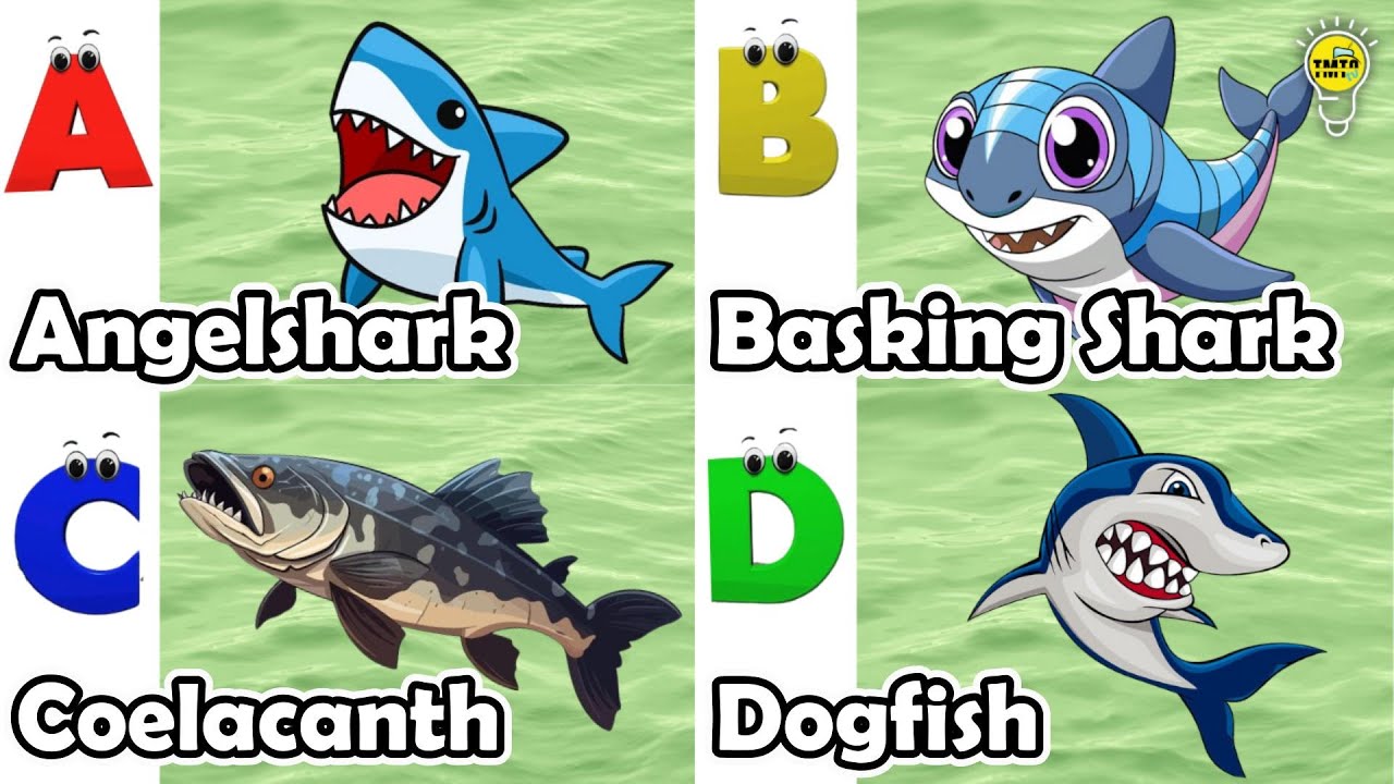 ABC phonics animals | ABC Sea Animals song | English and Animals for ...