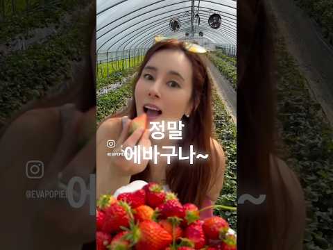 이건 완전 에바구나~😆 절친  크리스티나 영상 따라하기!! 역시 크리스티나는 재밋구나~!!여러분 봄이구나~ 벚꽃과 딸기 즐기시고 좋은 봄 되세요🌸🍓#미수다 #크리스티나 #에바 thumbnail
