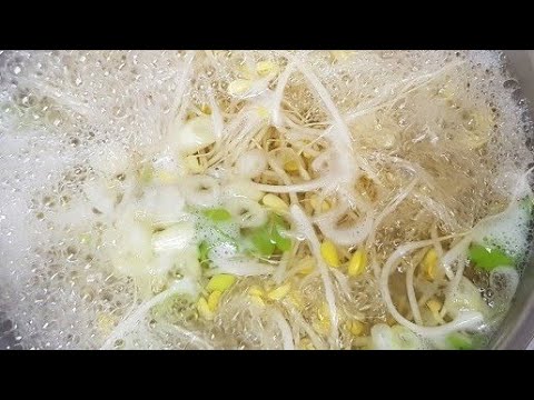 bean sprout soup bean sprouts cooking recipe