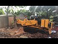 Full stump removal with Carlton grinder and Ditch Witch mini