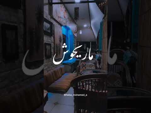 ازاى متوحشنيش و شمس هواك تغيب محمد حماقى