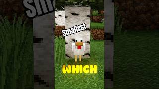 Which Mob Is Smallest In Minecraft? #minecraft #short