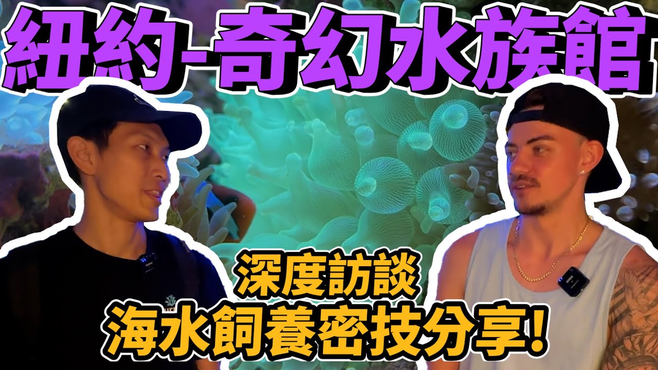 【藍箱水族】紐約華人區水族店-奇幻水族！飼養密技+店內介紹！竟然碰到我們的觀眾！Exotic Reef Aquatics New York Coral store visit (CC)