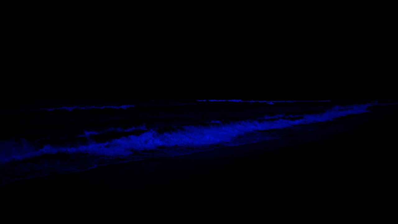 Nessuna pubblicità, addormentati all'istante • Rigenerazione di tutto il corpo, allevia lo stress