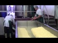Quicke's Dairy - Cheddaring Process