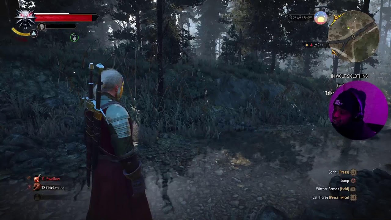 The Witcher 3- More Adventures With Geralt of Rivia.