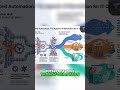 AI Agents: The Future of Enterprise Development & ROI #shorts