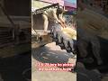 KLD tyre machanic || hard work #hardwork #shorts #ytshorts #trending #viral