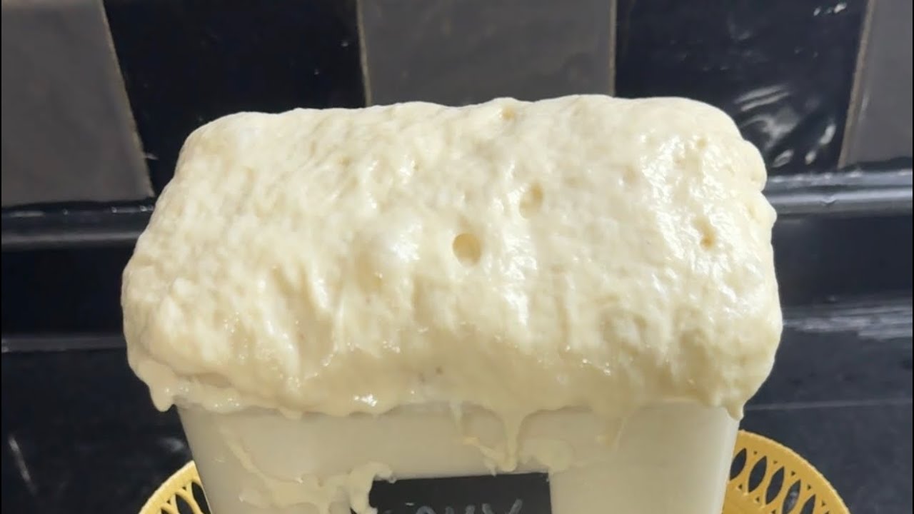 Bim’s Sourdough starter