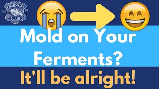 Famous Oh No! Moldy Sauerkraut Net Worth