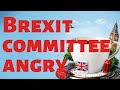 Criticism of Johnson government: British Brexit committee angry - Brexit explained