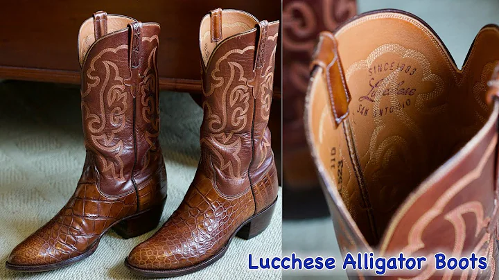 Lucchese Alligator Boots San Antonio in 4k UHD