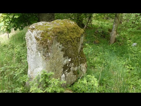 Pictish Standing Stone