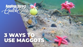 AD Quickbite – 3 Ways To Use Maggots