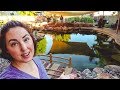 Does a Natural Swimming Pond COST the same as a chlorine POOL?