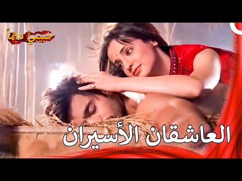 ليلة بارو ورودرا الخاصة حبيبي دائما