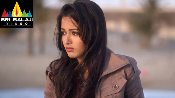 Iddarammayilatho Movie Allu Arjun Amala Paul & Catherine Scene | Sri Balaji Video