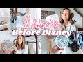 Disney vacation prep  how to set your disney trip up for success