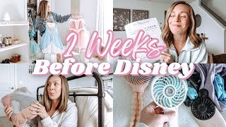 Disney Vacation Prep | How to Set Your Disney Trip up for SUCCESS!