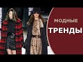 Модные ТРЕНДЫ осень-зима 2019-2020 / Что сейчас модно / Трендовые вещи