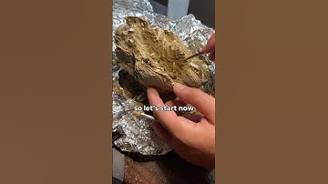 Procardium fossil preparation part2 #fossilprep #fossilhunting