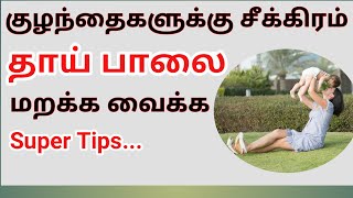 குழந்தைகளுக்கு தா்ப்பால் மறக்க வைக்க Tips | Homely Princess