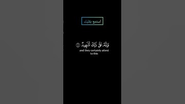 سورة العاديات بصوت القارئ ياسر الدوسري #ياسرالدوسري #قرآن #قران #قرآن_كريم #قران_كريم