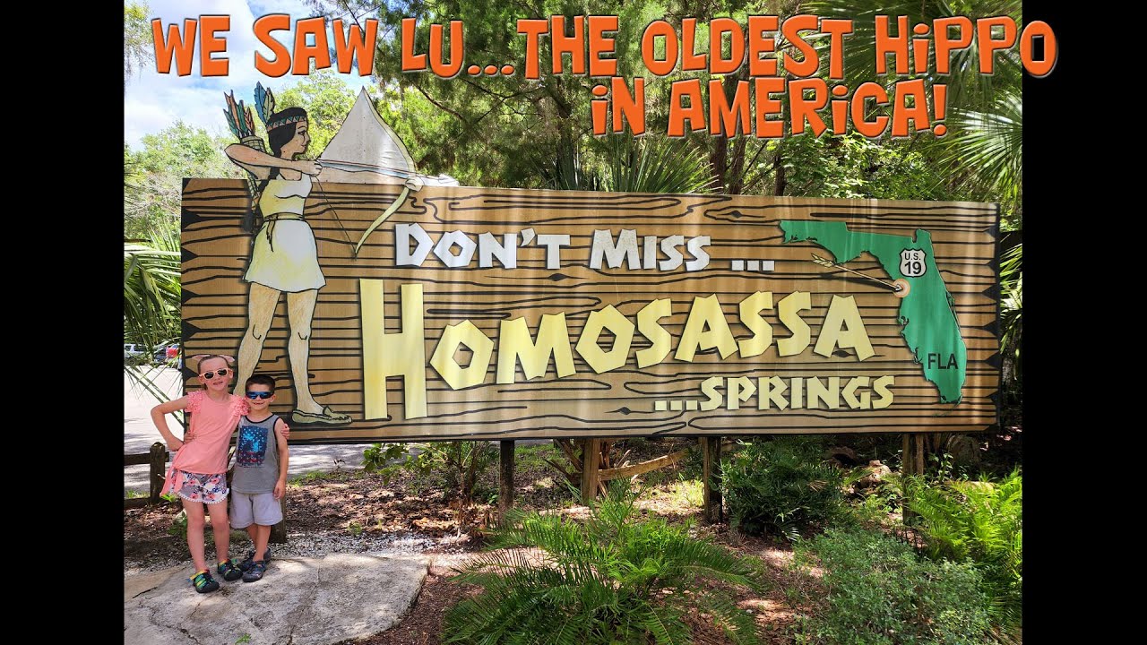 FSU, Family, & Homosassa Springs Wildlife Park YouTube