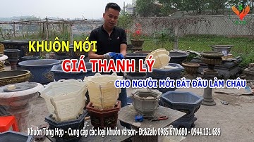Khuôn mới giá thanh lý khuôn chậu cảnh lục giác 25 | Khuôn Tổng Hợp