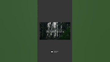 سورة النساء | محمد رزقا عقيل رمضان #quran #سورة_النساء #القرآن_الكريم