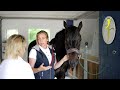 Pferd hat chronischen Husten und schüttelt ständigt mit dem Kopf | Pferde Check bei Ariane Telgen