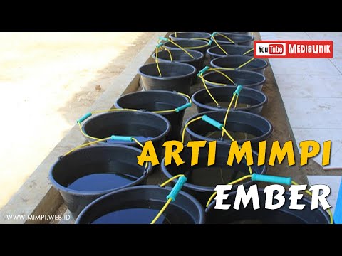 Video: Mengapa Ember Air Bersih Bermimpi?