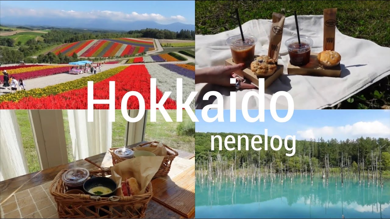 【vlog】北海道/旅行/青い池/四季彩の丘/美瑛/東川/カフェ