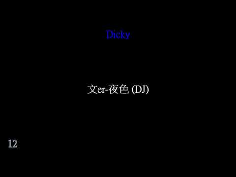 文er 夜色 DJ