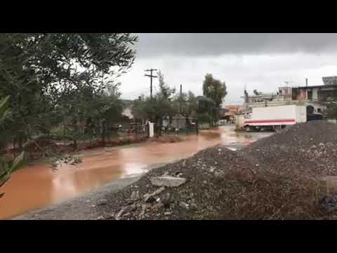 Πλημμύρες στον Δ. Ευρώτα 25-1-2019 (1)