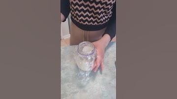 DAY 4 Sourdough Starter from Scratch No Discard, No Scale #sourdoughstarter #sourdoughforbeginners
