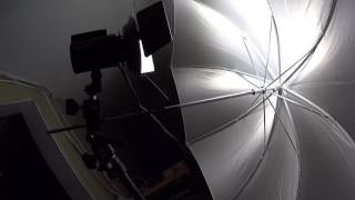 Yongnuo YN216 LED Video Light Reviewed by Flaming Barrel Of Monkeys Tech Junkies
