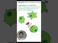 The 5 types of immune cells you need to know for the DAT part one #DAT #StudyDAT