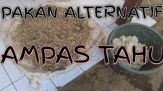 PAKAN ALTERNATIF BEBEK PEDAGING DARI AMPAS TAHU !!!!