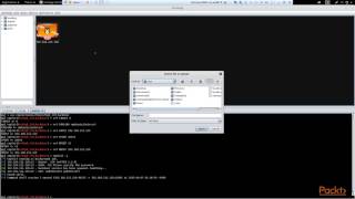 Ethical hacking tutorials for beginners : Armitage