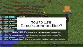 How to use Expo client's commandline?