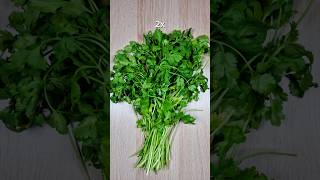 Why Does Everyone Hate Coriander? 3000X Zoom