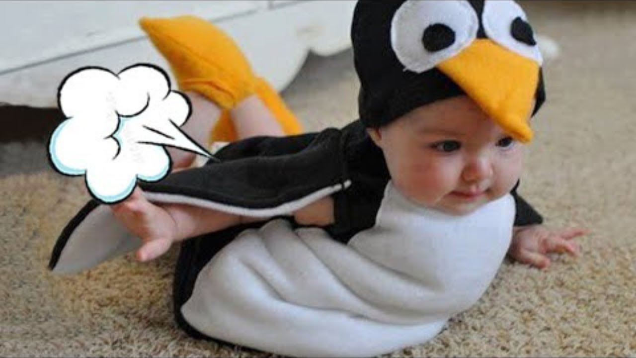 Lovely Moments When Babies Fart / Funniest Video / Cute.Babies YouTube