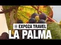 La Palma (Spain) Vacation Travel Video Guide